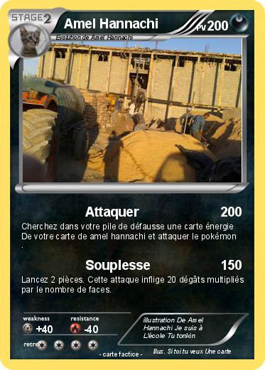 Pokemon Amel Hannachi