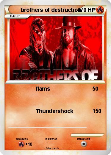 Pokemon brothers of destruction