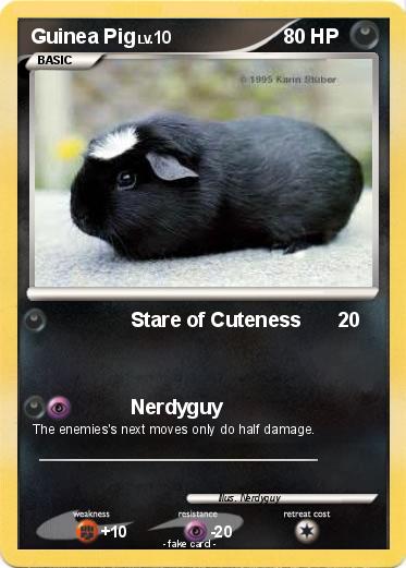 Pokemon Guinea Pig