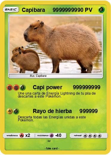 Pokemon Capibara     99999999