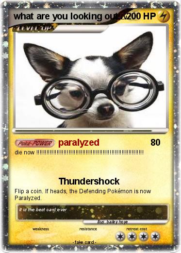 Pokemon what are you looking out