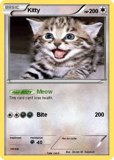 Pokemon Kitty