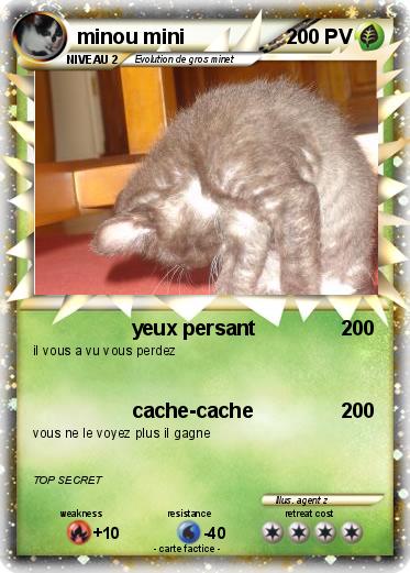 Pokemon minou mini
