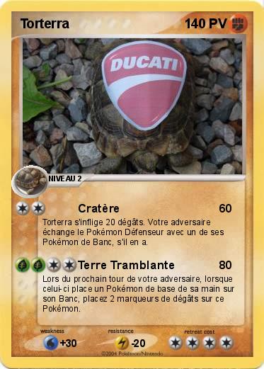 Pokemon Torterra