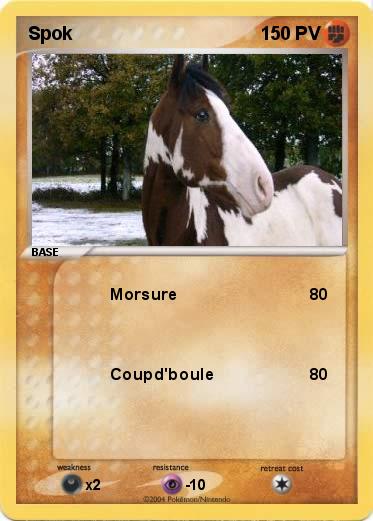 Pokemon Spok