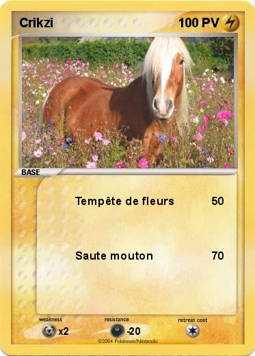 Pokemon Crikzi
