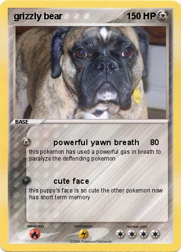 Pokemon grizzly bear