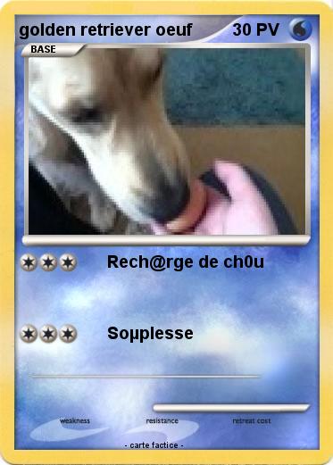 Pokemon golden retriever oeuf