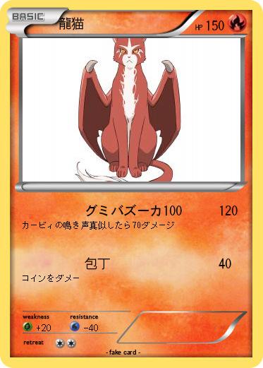 Pokemon 龍猫