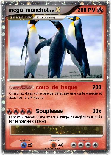 Pokemon mega  manchot