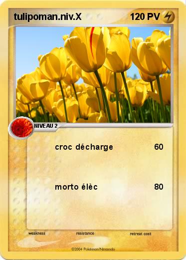 Pokemon tulipoman.niv.X