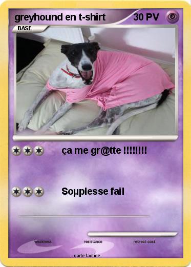 Pokemon greyhound en t-shirt