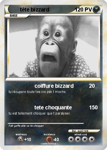 Pokemon téte bizzard