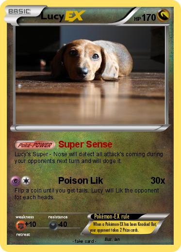 Pokemon Lucy