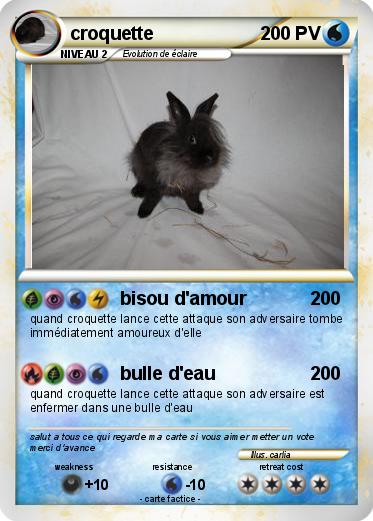 Pokemon croquette