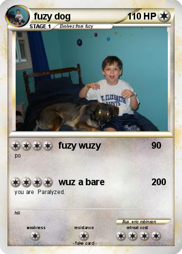 Pokemon fuzy dog