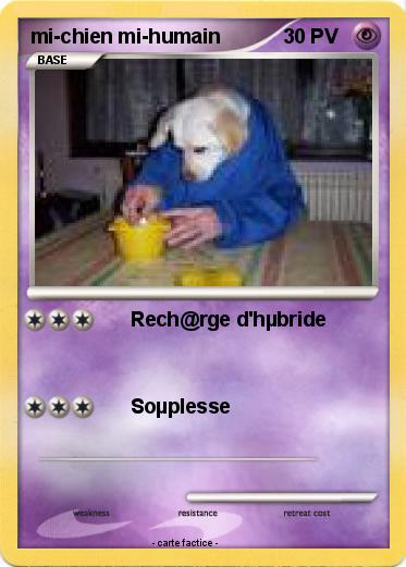 Pokemon mi-chien mi-humain