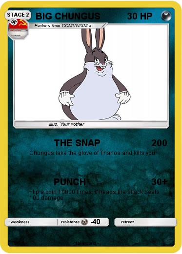 Pokemon BIG CHUNGUS