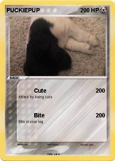 Pokemon PUCKIEPUP