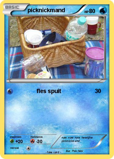 Pokemon picknickmand