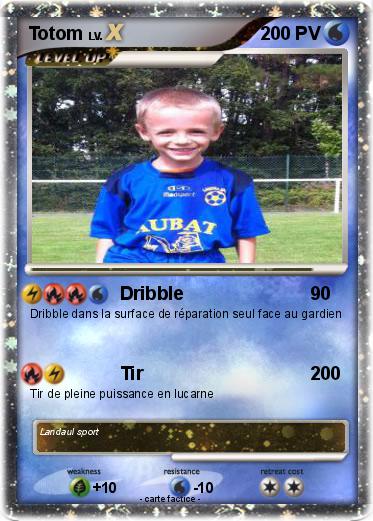 Pokemon Totom