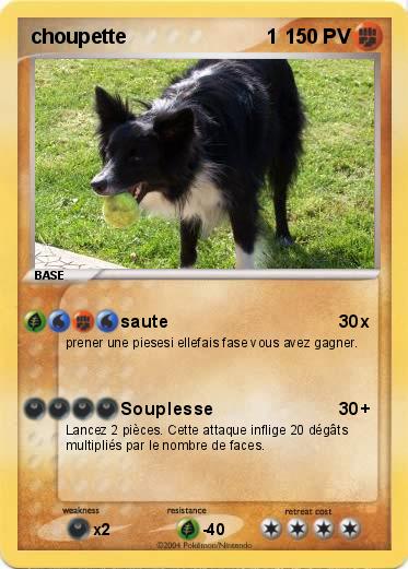 Pokemon choupette                         1                                  