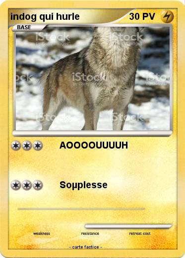 Pokemon indog qui hurle