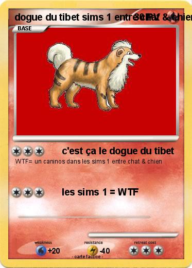 Pokemon dogue du tibet sims 1 entre chat & chien = WTF