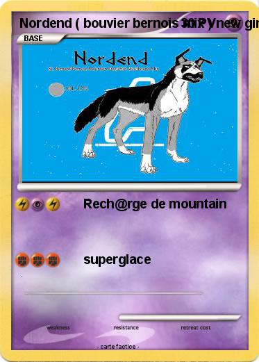 Pokemon Nordend ( bouvier bernois mix ) new ginga