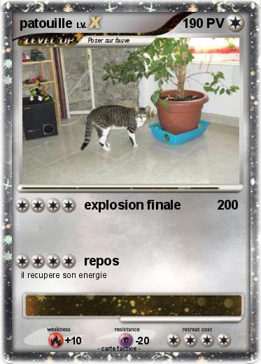 Pokemon patouille