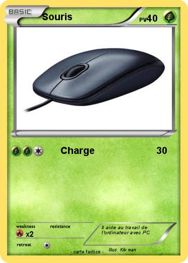 Pokemon Souris