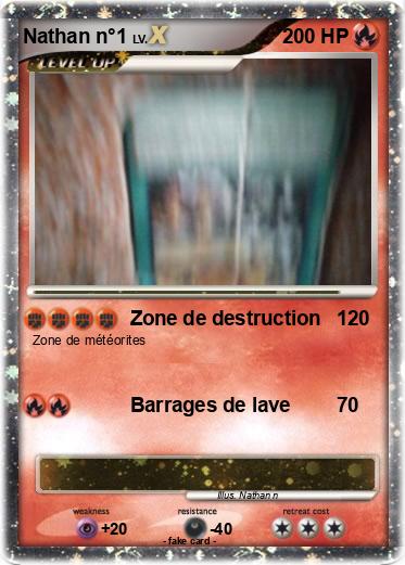 Pokemon Nathan n°1