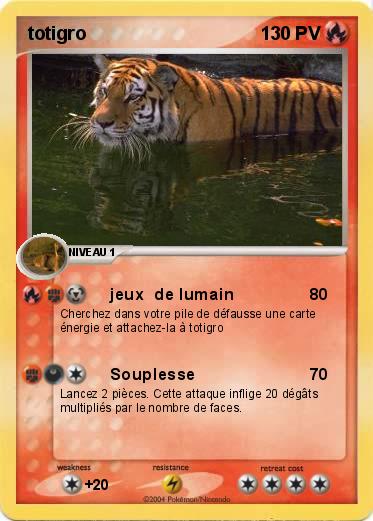Pokemon totigro
