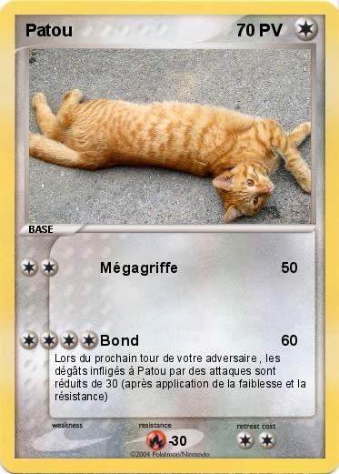 Pokemon Patou