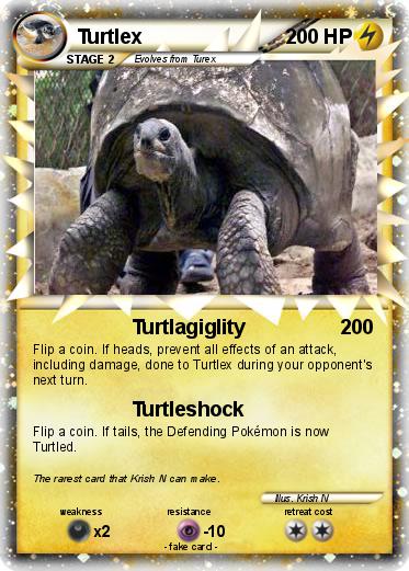 Pokemon Turtlex