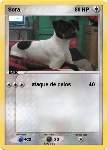 Pokemon Sora