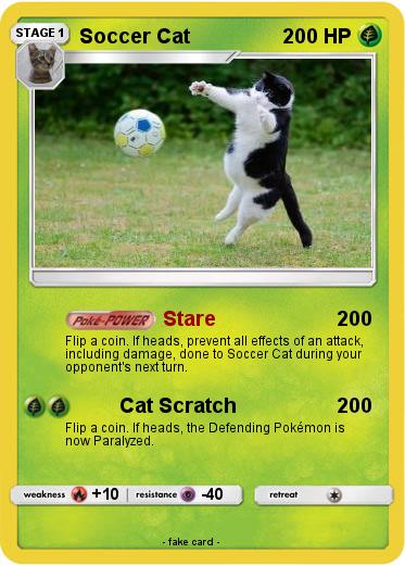 Pokemon Soccer Cat