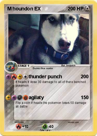 Pokemon M houndon EX