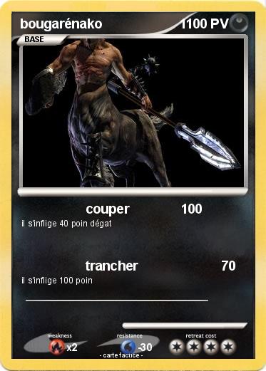 Pokemon bougarénako                     1