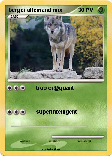 Pokemon berger allemand mix