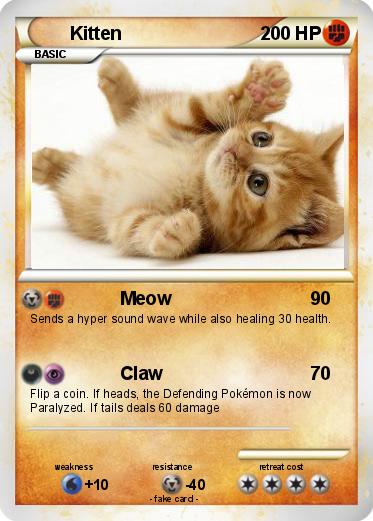 Pokemon Kitten