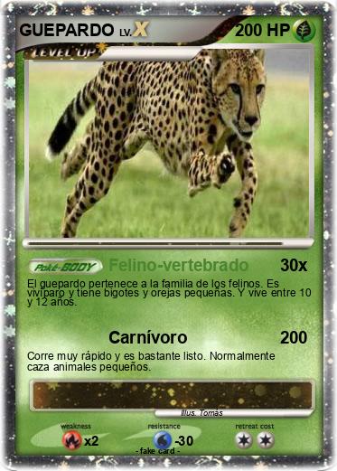 Pokemon GUEPARDO