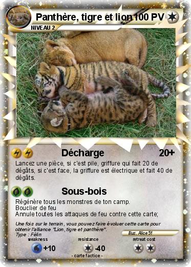 Pokemon Panthère, tigre et lion
