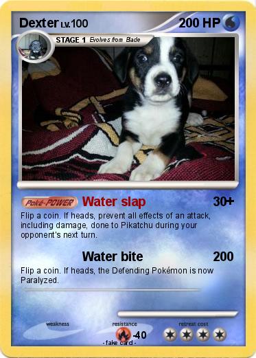 Pokemon Dexter