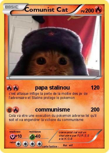 Pokemon Comunist Cat