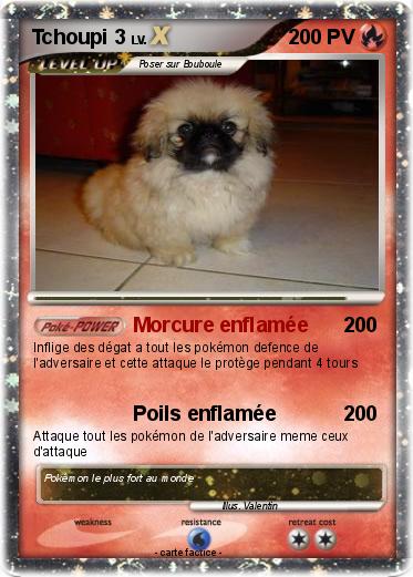 Pokemon Tchoupi 3