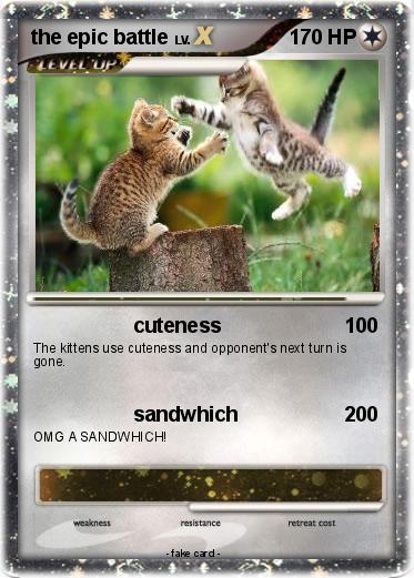 Pokemon the epic battle