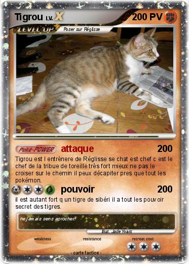 Pokemon Tigrou