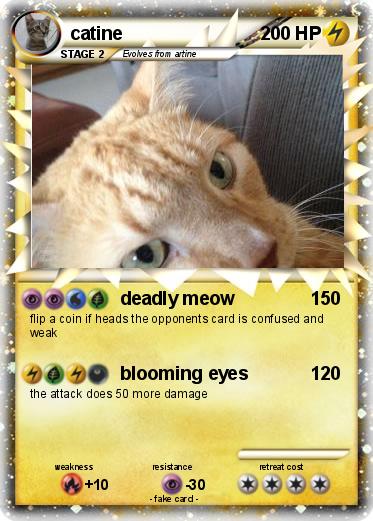 Pokemon catine