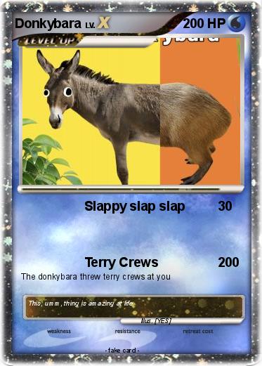 Pokemon Donkybara